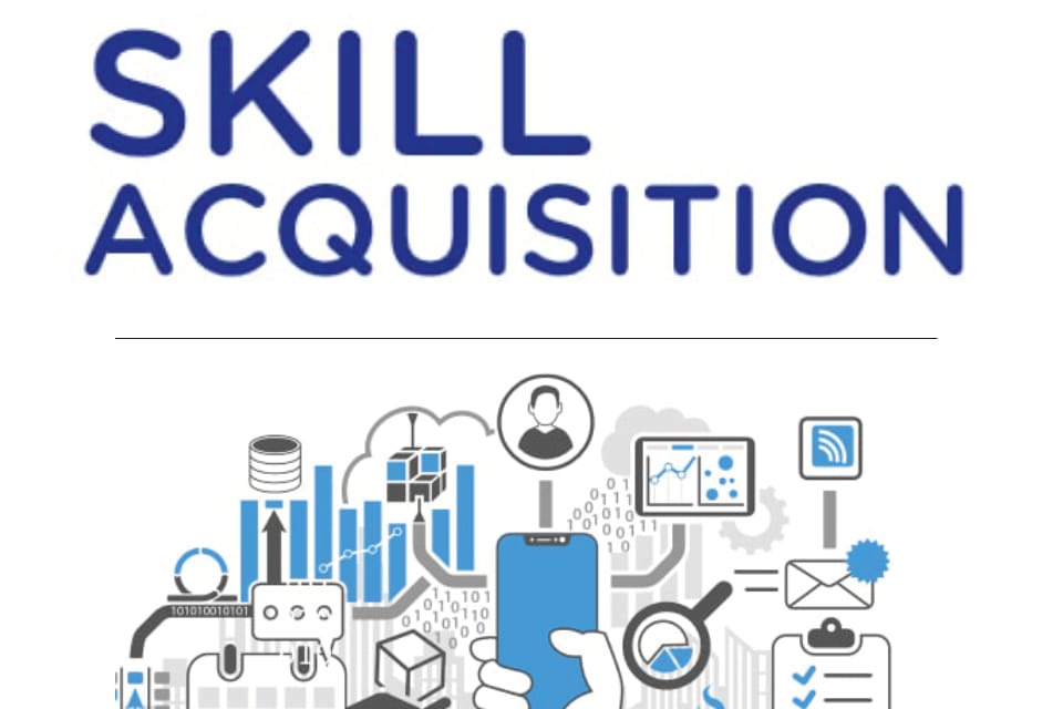 FG, partner to train 50,000 youths in digital, vocational skills – Daily Trust