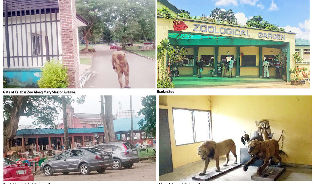 The Decline Of Nigeria’s Zoos