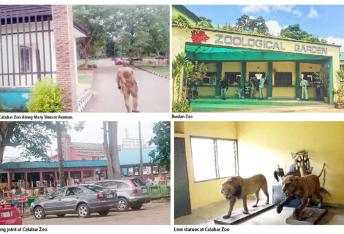 The Decline Of Nigeria’s Zoos